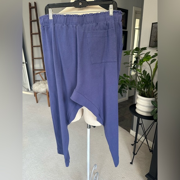 Free People Beach cropped pants, size large - Picture 5 of 15